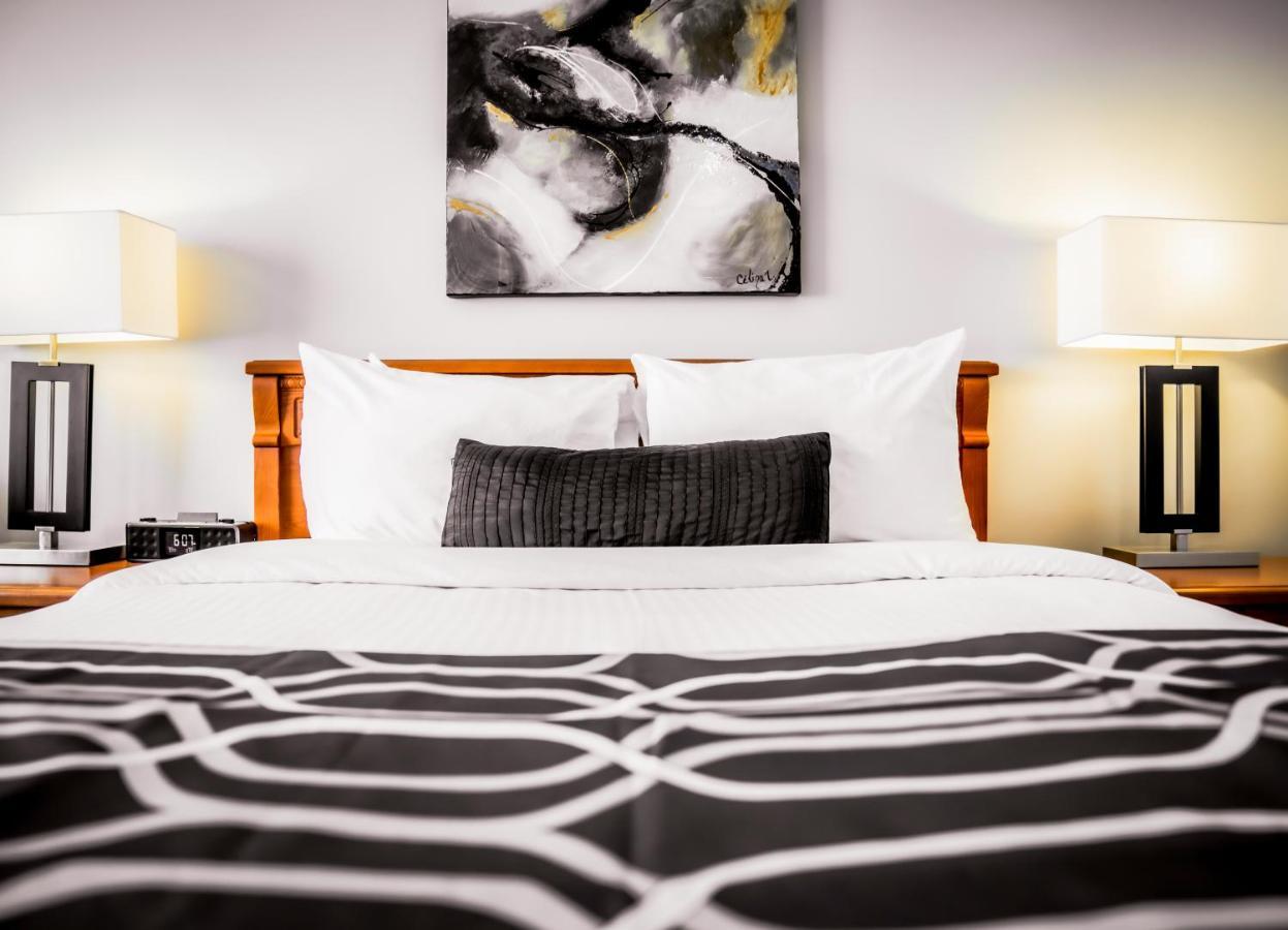 Hôtel Le Voyageur Sept-Îles Extérieur photo